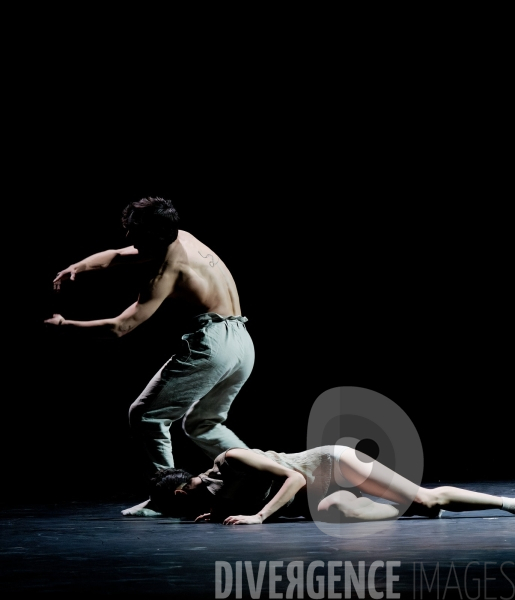 Gods and dogs / Jirí Kylián / Ballet de l   Opéra national de Paris