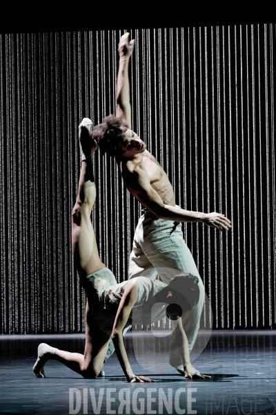 Gods and dogs / Jirí Kylián / Ballet de l   Opéra national de Paris