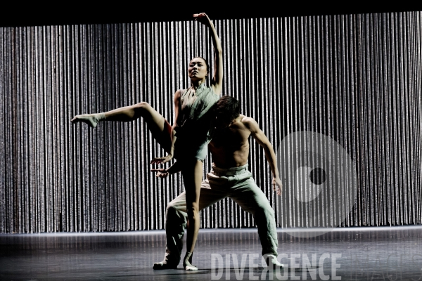 Gods and dogs / Jirí Kylián / Ballet de l   Opéra national de Paris