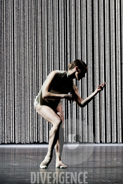 Gods and dogs / Jirí Kylián / Ballet de l   Opéra national de Paris