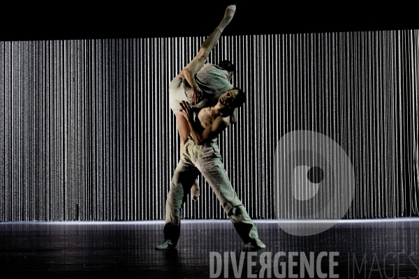 Gods and dogs / Jirí Kylián / Ballet de l   Opéra national de Paris