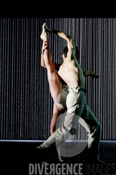 Gods and dogs / Jirí Kylián / Ballet de l   Opéra national de Paris