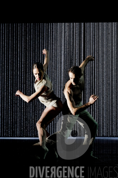 Gods and dogs / Jirí Kylián / Ballet de l   Opéra national de Paris