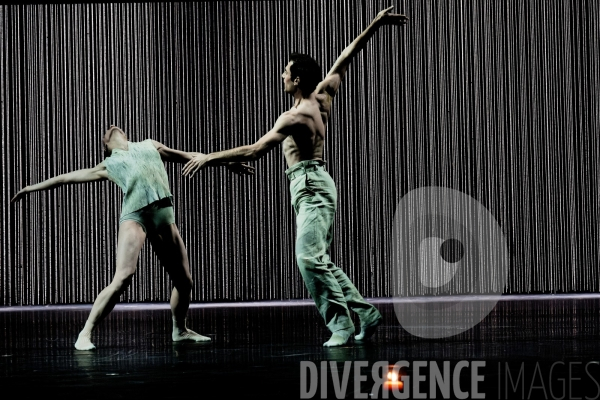 Gods and dogs / Jirí Kylián / Ballet de l   Opéra national de Paris