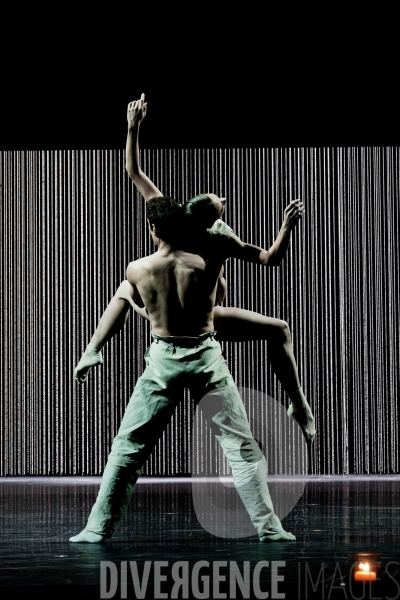 Gods and dogs / Jirí Kylián / Ballet de l   Opéra national de Paris