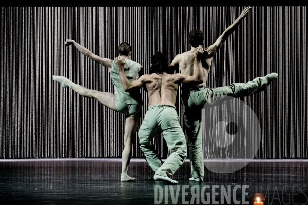 Gods and dogs / Jirí Kylián / Ballet de l   Opéra national de Paris