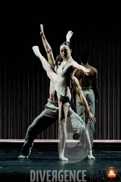 Gods and dogs / Jirí Kylián / Ballet de l   Opéra national de Paris