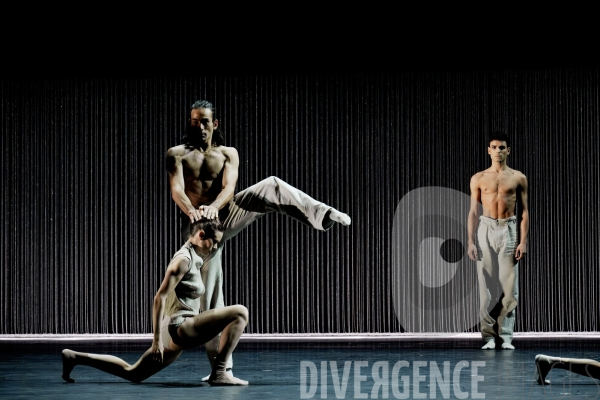 Gods and dogs / Jirí Kylián / Ballet de l   Opéra national de Paris