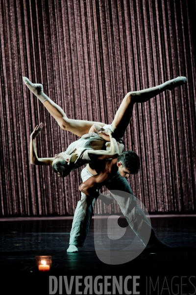Gods and dogs / Jirí Kylián / Ballet de l   Opéra national de Paris
