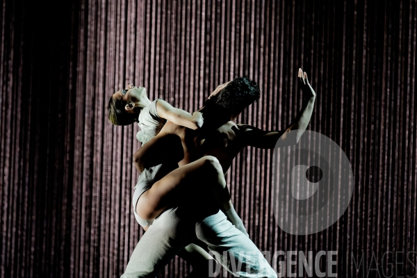 Gods and dogs / Jirí Kylián / Ballet de l   Opéra national de Paris