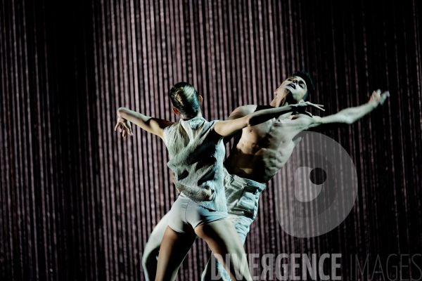 Gods and dogs / Jirí Kylián / Ballet de l   Opéra national de Paris