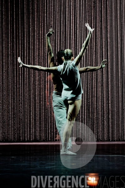 Gods and dogs / Jirí Kylián / Ballet de l   Opéra national de Paris