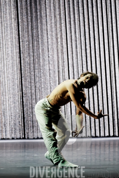 Gods and dogs / Jirí Kylián / Ballet de l   Opéra national de Paris