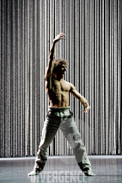 Gods and dogs / Jirí Kylián / Ballet de l   Opéra national de Paris