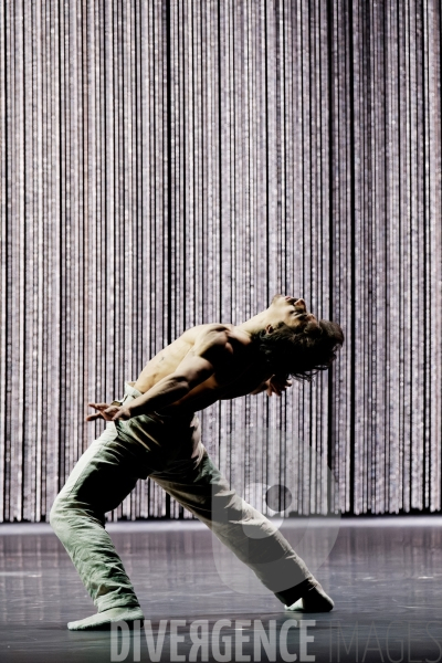 Gods and dogs / Jirí Kylián / Ballet de l   Opéra national de Paris