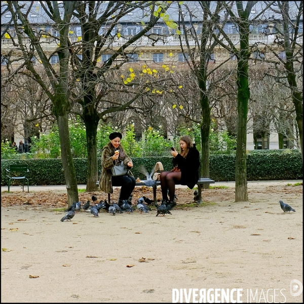 Au jardin du Palais - Royal