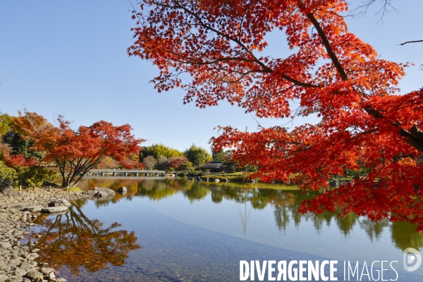 Le parc de showa kinen a tokyo en automne
