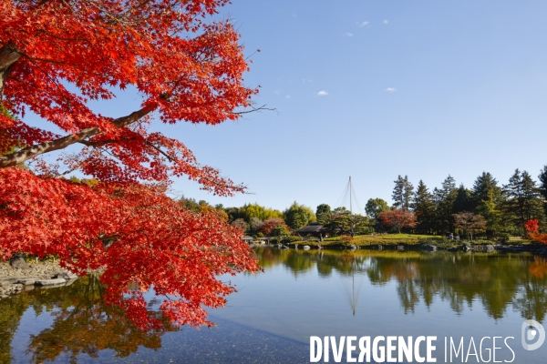 Le parc de showa kinen a tokyo en automne