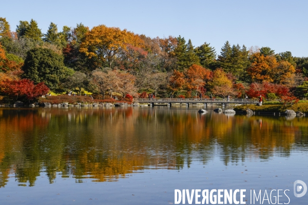 Le parc de showa kinen a tokyo en automne