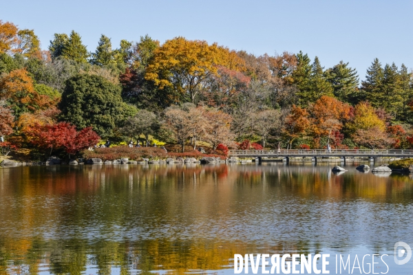 Le parc de showa kinen a tokyo en automne