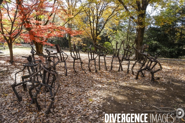 Le parc de showa kinen a tokyo en automne