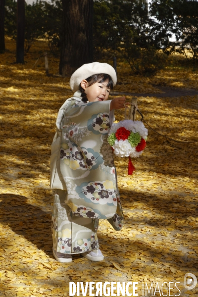 Le parc de showa kinen a tokyo en automne