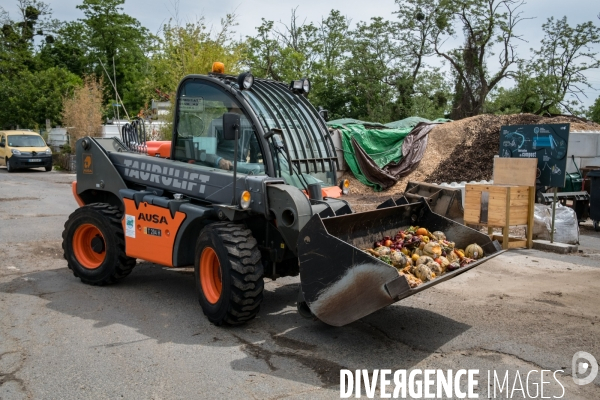 Les alchimistes compost