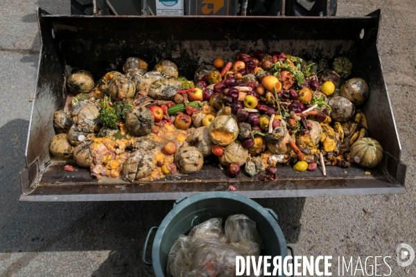 Les alchimistes compost