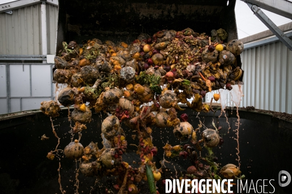 Les alchimistes compost
