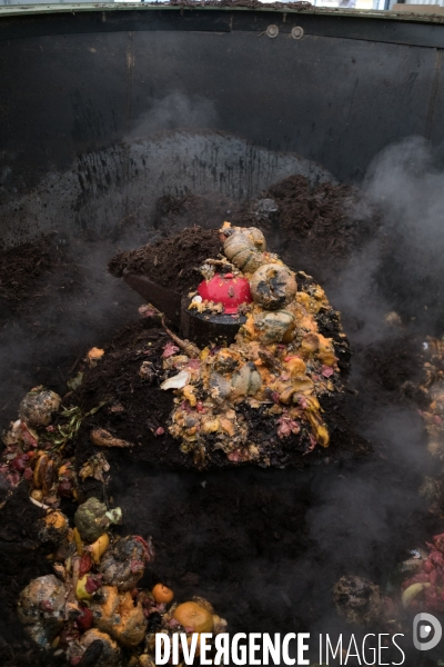 Les alchimistes compost