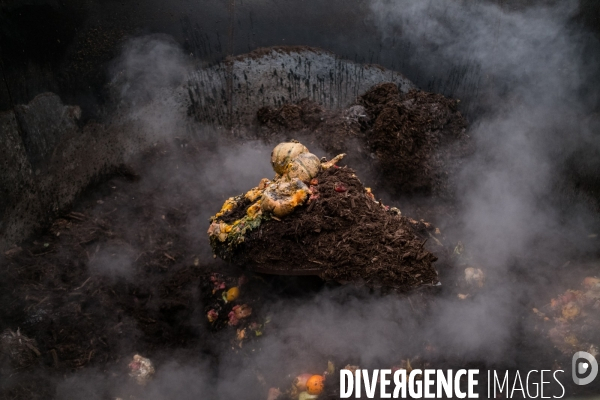 Les alchimistes compost
