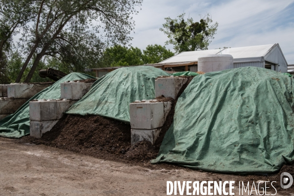 Les alchimistes compost