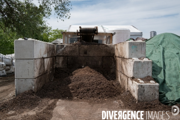 Les alchimistes compost