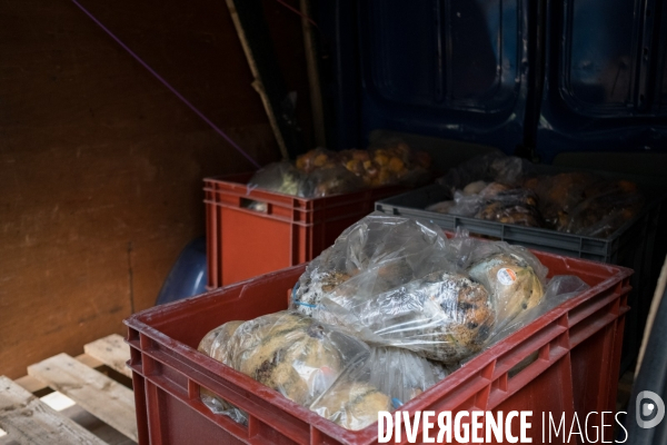 Les alchimistes compost
