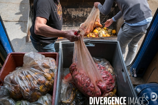 Les alchimistes compost
