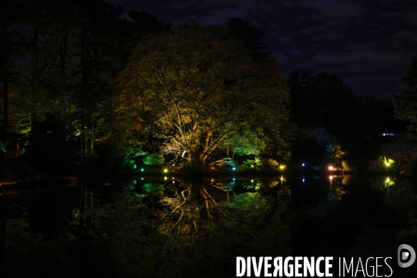 Parc de shinjuku gyoen a tokyo eclaire la nuit