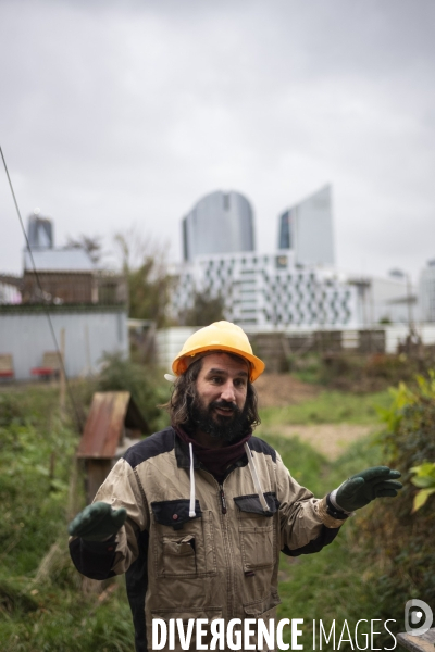 Atelier jardinage et boutures de Paulownia