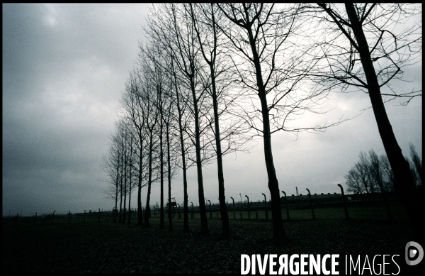 Auschwitz Oscwiecim