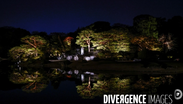 Le park de rikugien illumine a la tombee du jour en automne