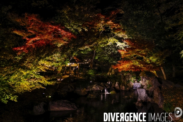 Le park de rikugien illumine a la tombee du jour en automne