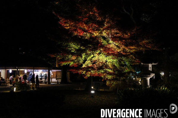 Le park de rikugien illumine a la tombee du jour en automne