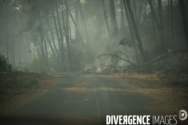 Incendie : foret et degats