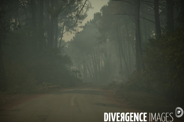 Incendie : foret et degats