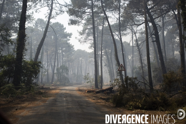 Incendie : foret et degats