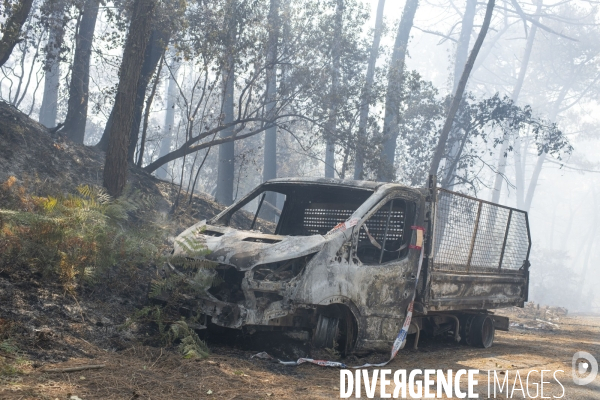 Incendie : foret et degats
