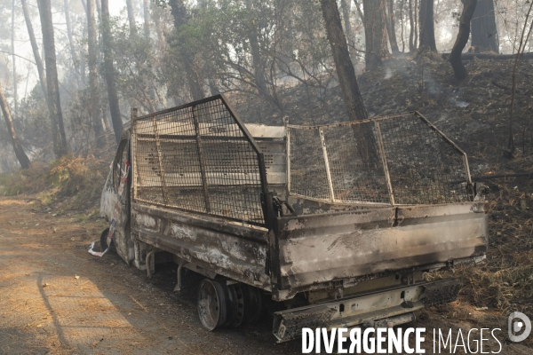 Incendie : foret et degats