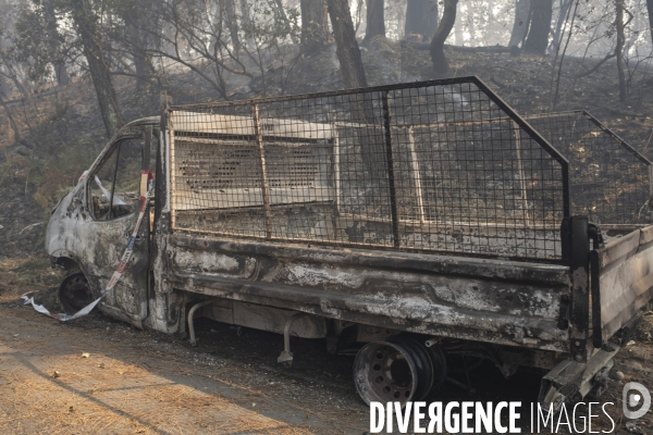Incendie : foret et degats