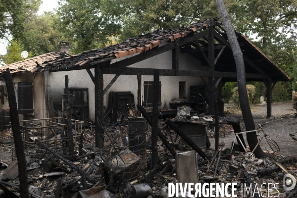 Incendie : foret et degats