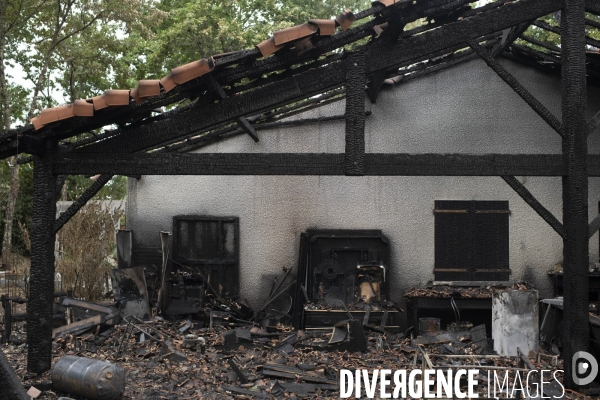 Incendie : foret et degats