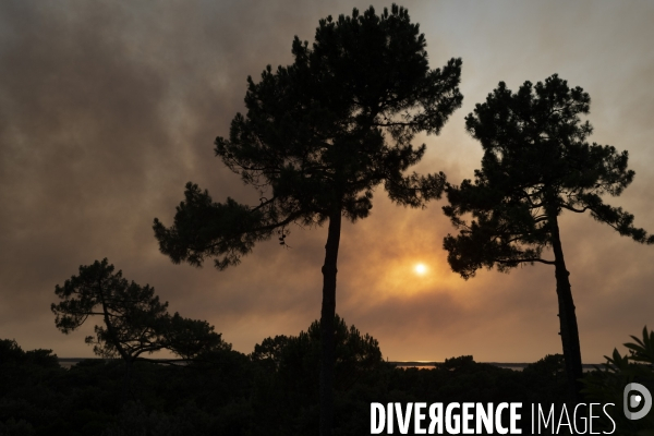 Incendie : foret et degats